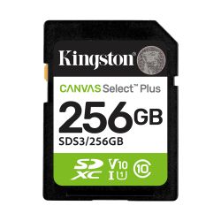 SD card Kingston 256 GB...