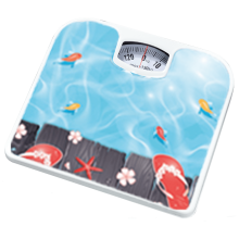 Zilan Vaga, mehanička, do...