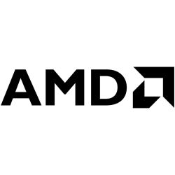 AMD CPU Desktop 2C/4T...