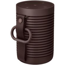 Beosound Explore Chestnut