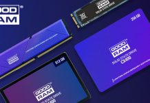 GoodRam – ko su i šta rade? goodram